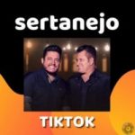 Download SERTANEJO TIKTOK - 25-02-2022 [Mp3] via Torrent